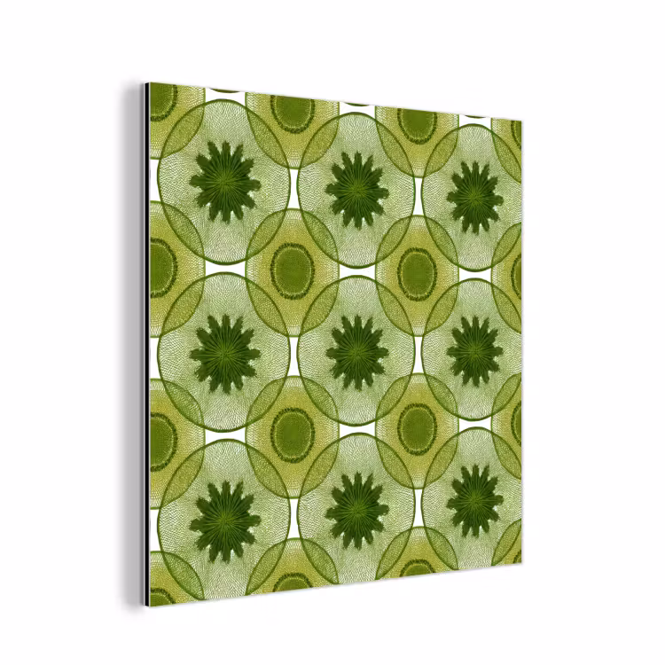 Aluminium schilderij - Cirkels - Patroon - Groen — 1