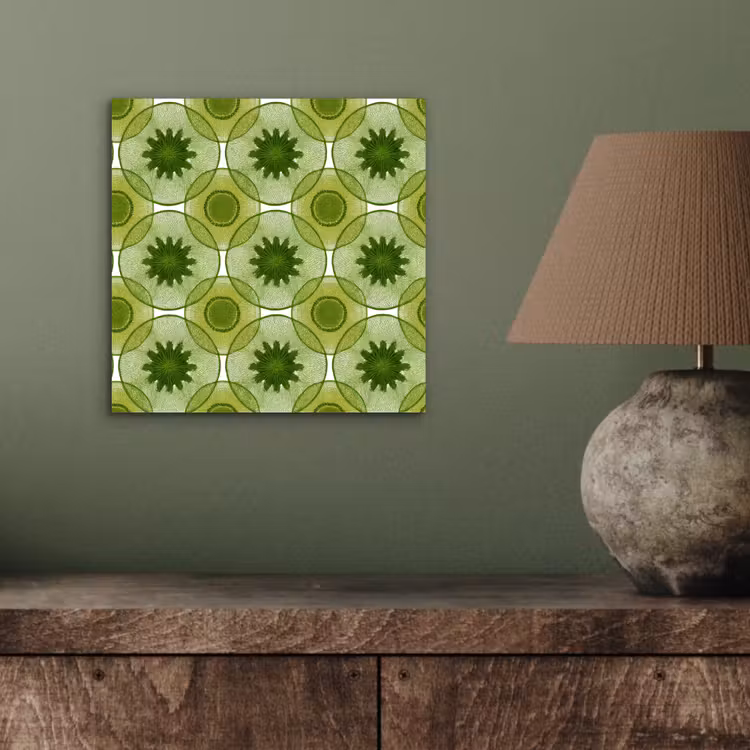 Aluminium schilderij - Cirkels - Patroon - Groen — 3