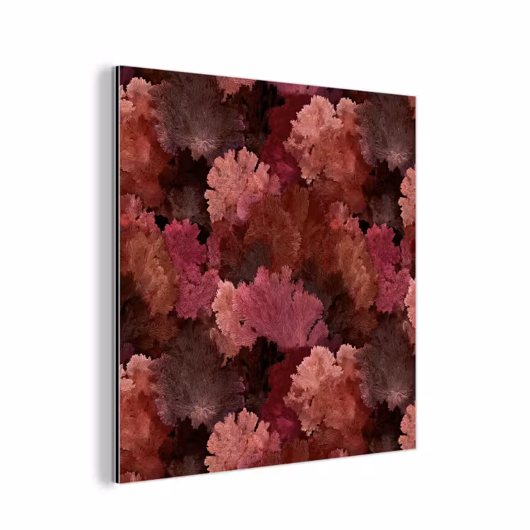 Aluminium schilderij - Koraal - Textuur - Kleurrijk — 1