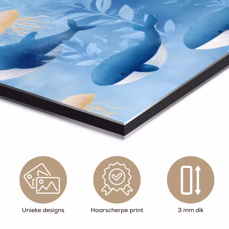 Aluminium schilderij - Walvissen - Oceaan - Blauw — 7