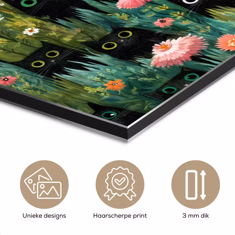 Aluminium schilderij - Katten - Bloemen - Kleurrijk — 7