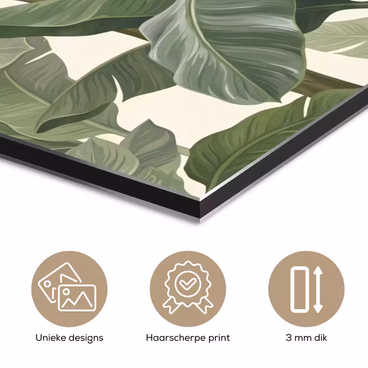 Aluminium schilderij - Planten - Bladeren - Tropisch - Groen — 7
