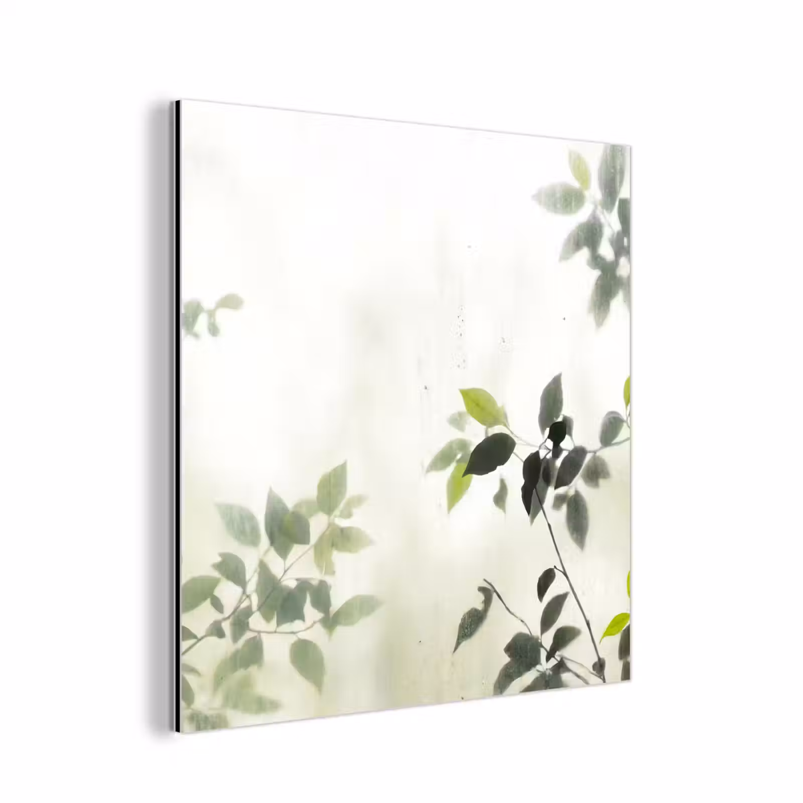 Aluminium schilderij - Blad - Schaduw - Natuur - Abstract - Groen — 1