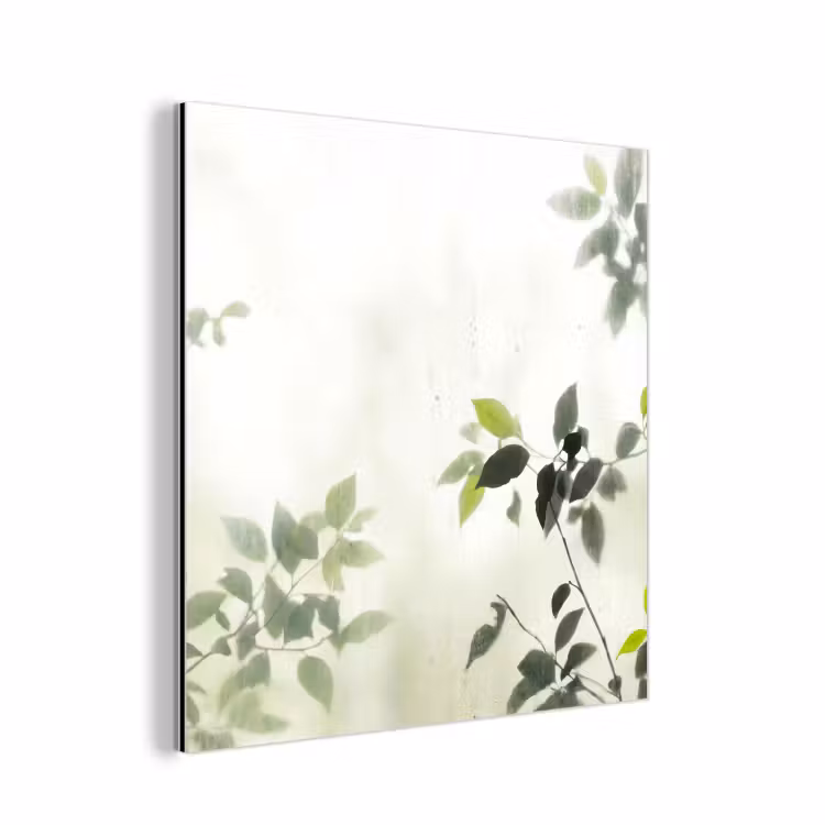 Aluminium schilderij - Blad - Schaduw - Natuur - Abstract - Groen — 1