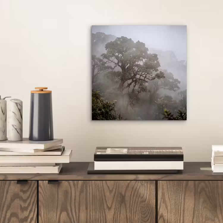 Aluminium schilderij - Boom - Mistig - Bos - Groen - Natuur — 2