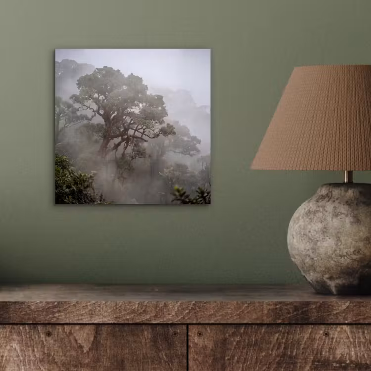 Aluminium schilderij - Boom - Mistig - Bos - Groen - Natuur — 3