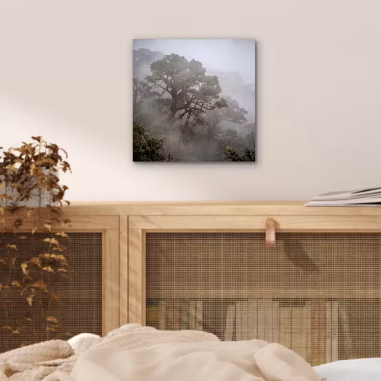 Aluminium schilderij - Boom - Mistig - Bos - Groen - Natuur — 4