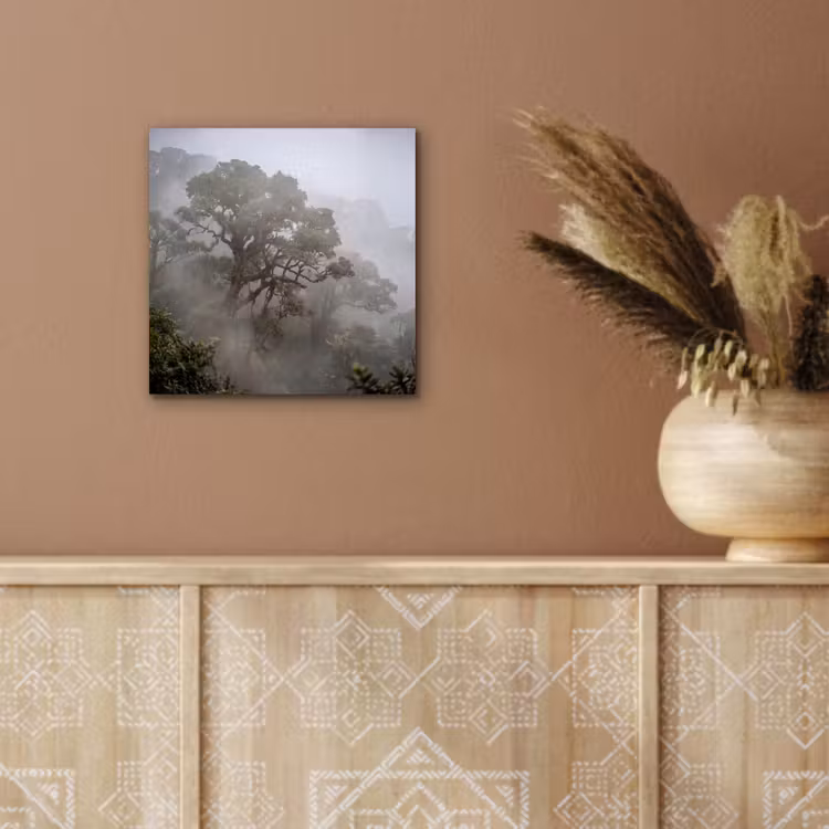 Aluminium schilderij - Boom - Mistig - Bos - Groen - Natuur — 5