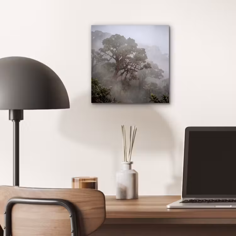 Aluminium schilderij - Boom - Mistig - Bos - Groen - Natuur — 6