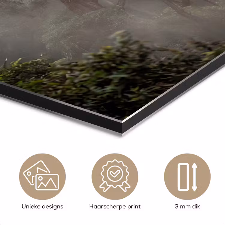 Aluminium schilderij - Boom - Mistig - Bos - Groen - Natuur — 7