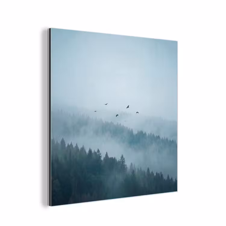 Aluminium schilderij - Bos - Mist - Vogels - Natuur - Groen — 1