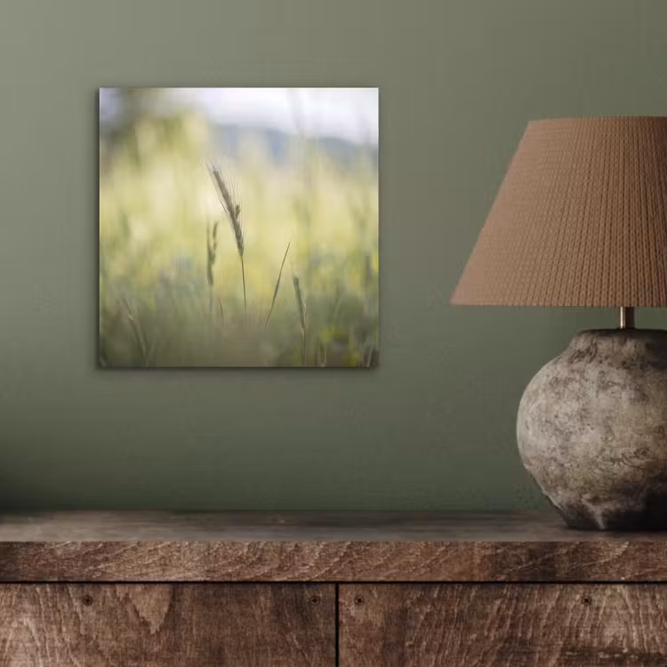 Aluminium schilderij - Graan - Aar - Natuur - Groen - Detail — 3
