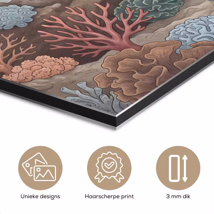 Aluminium schilderij - Onderwater - Koraal - Vis - Natuur — 7