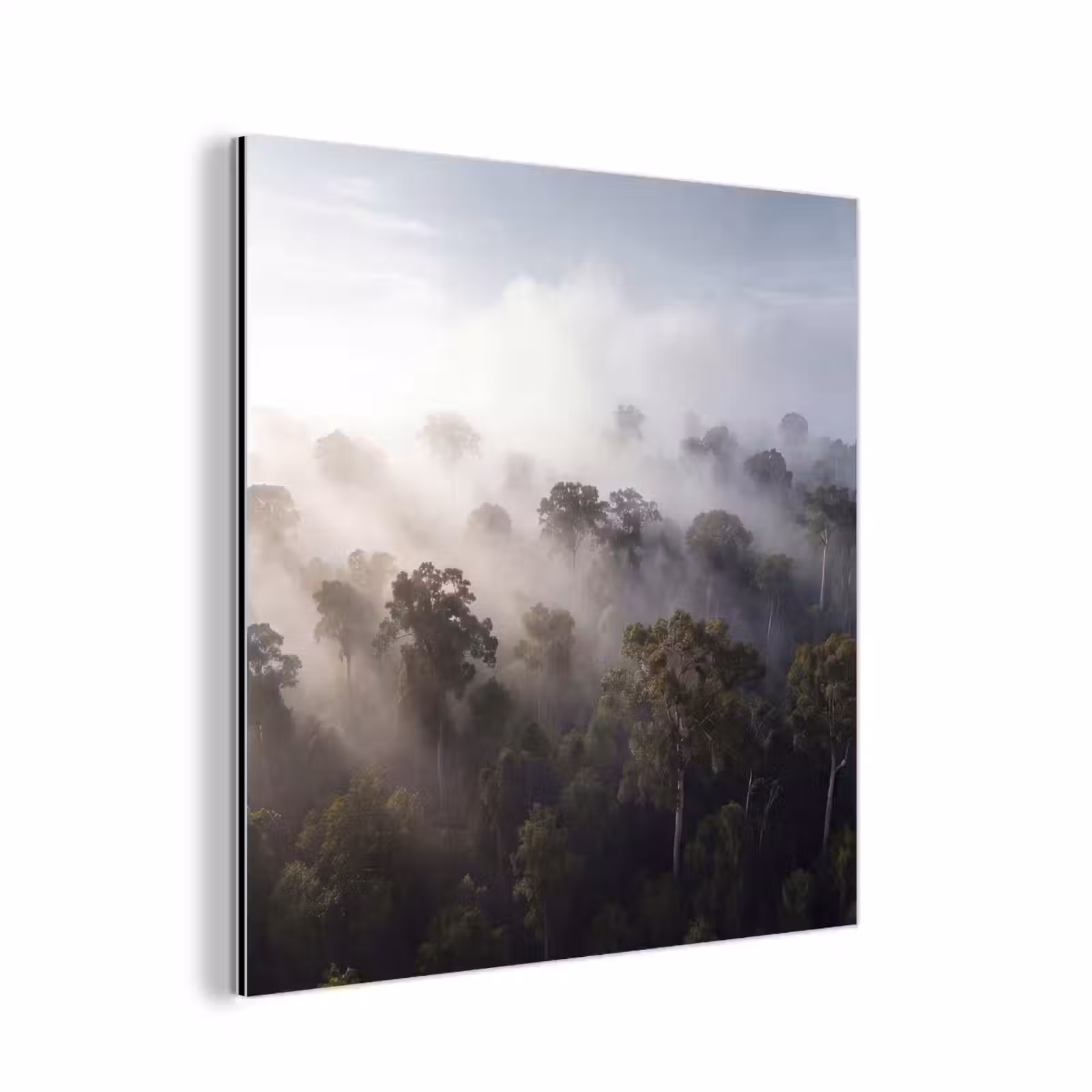 Aluminium schilderij - Bos - Mist - Natuur - Groen — 1