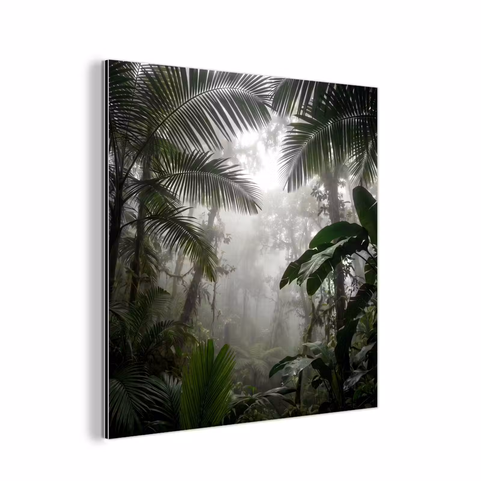 Aluminium schilderij - Natuur - Jungle - Mist - Groen - Bladeren — 1