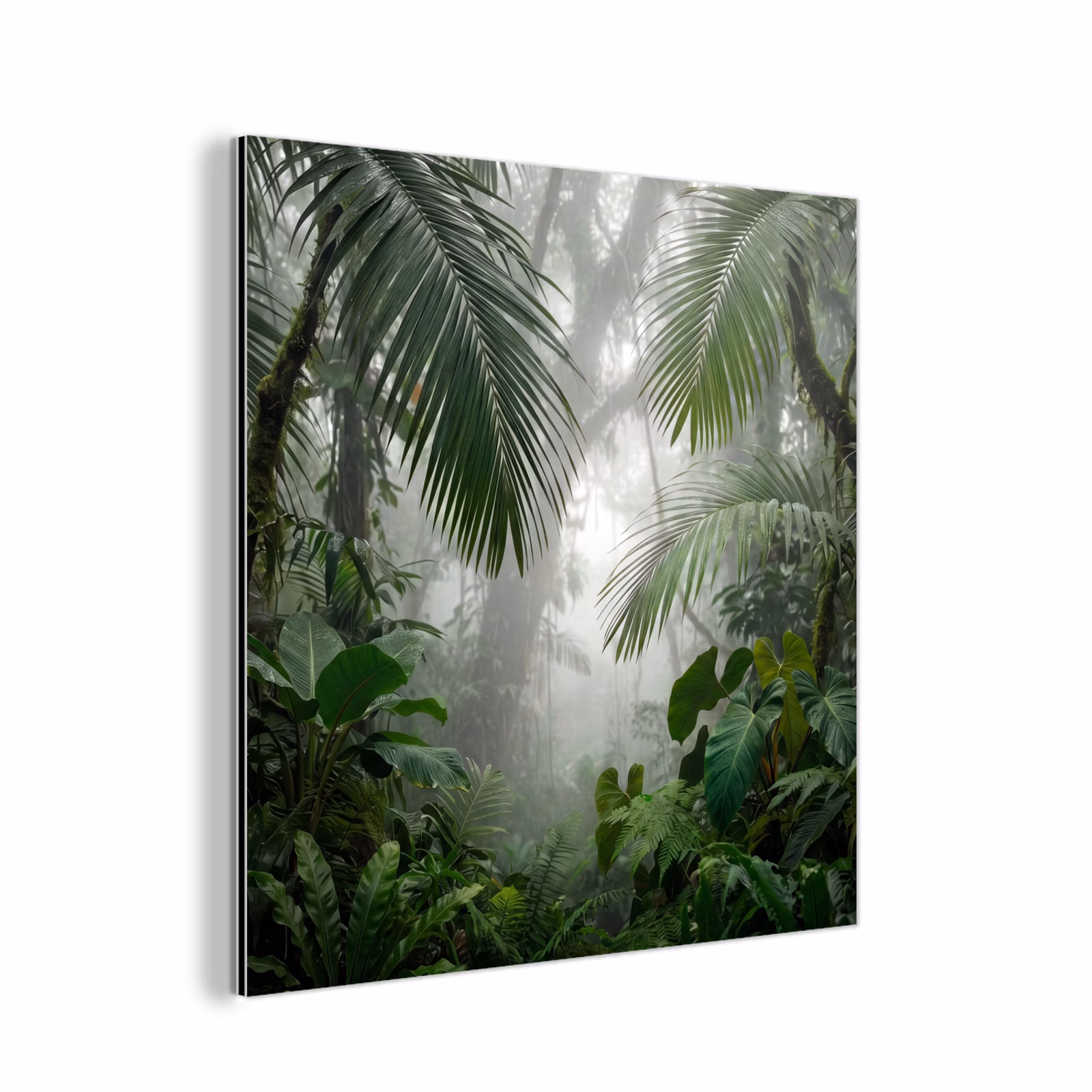 Aluminium schilderij - Natuur - Jungle - Mist - Tropisch - Groen — 1