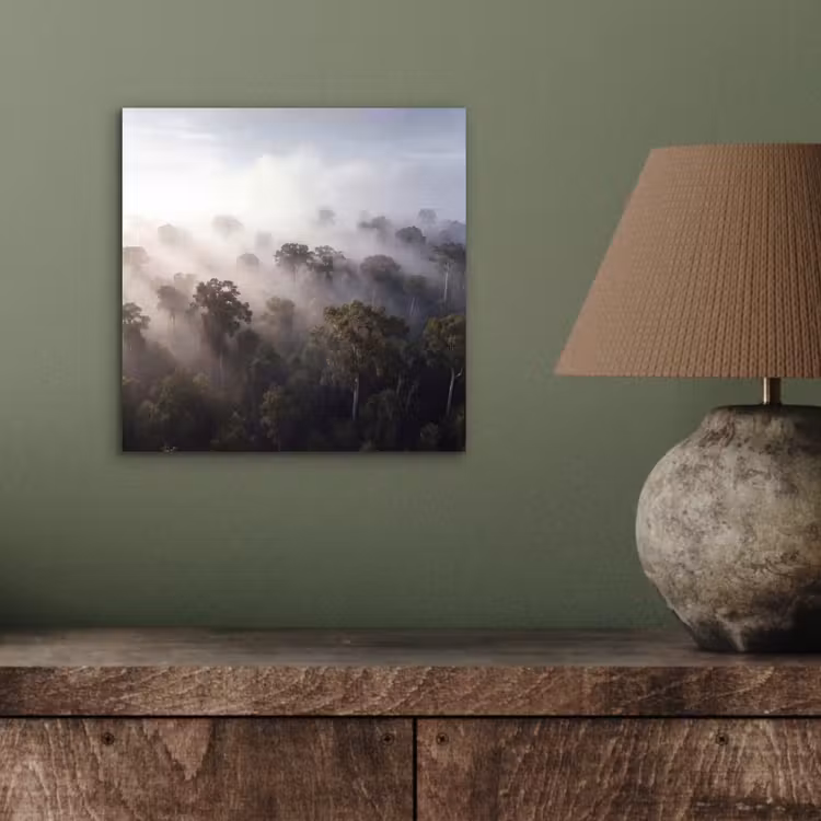 Aluminium schilderij - Bos - Mist - Natuur - Groen — 3