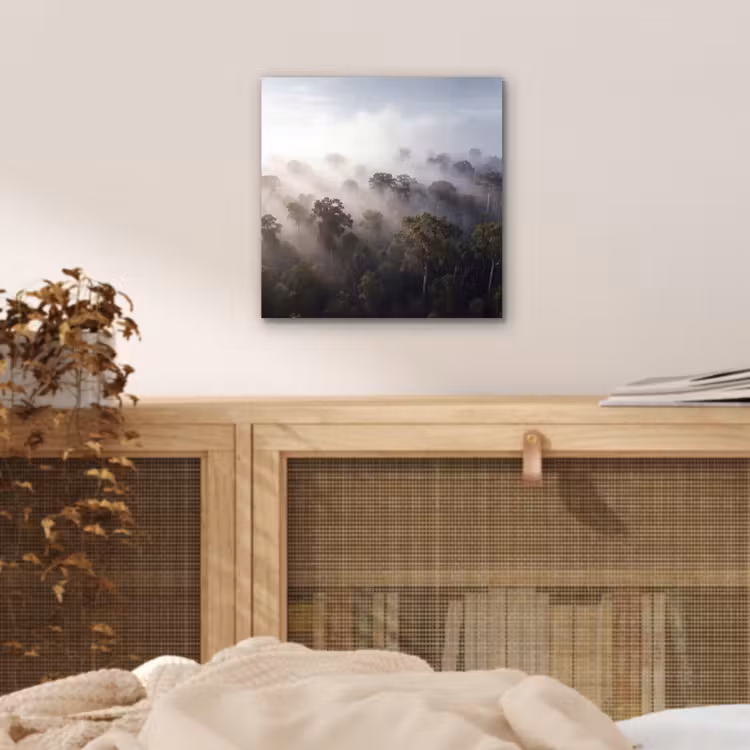 Aluminium schilderij - Bos - Mist - Natuur - Groen — 4