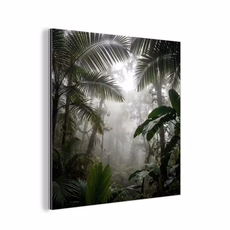 Aluminium schilderij - Natuur - Jungle - Mist - Groen - Bladeren — 1