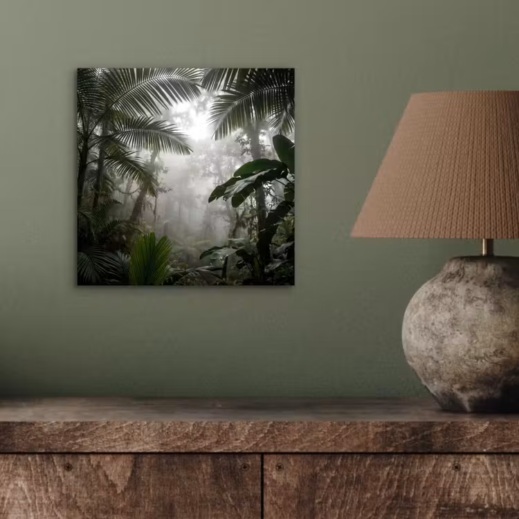 Aluminium schilderij - Natuur - Jungle - Mist - Groen - Bladeren — 3