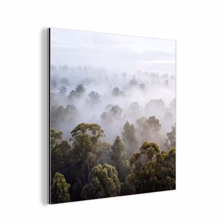 Aluminium schilderij - Natuur - Mist - Bos - Ochtend - Goud — 1
