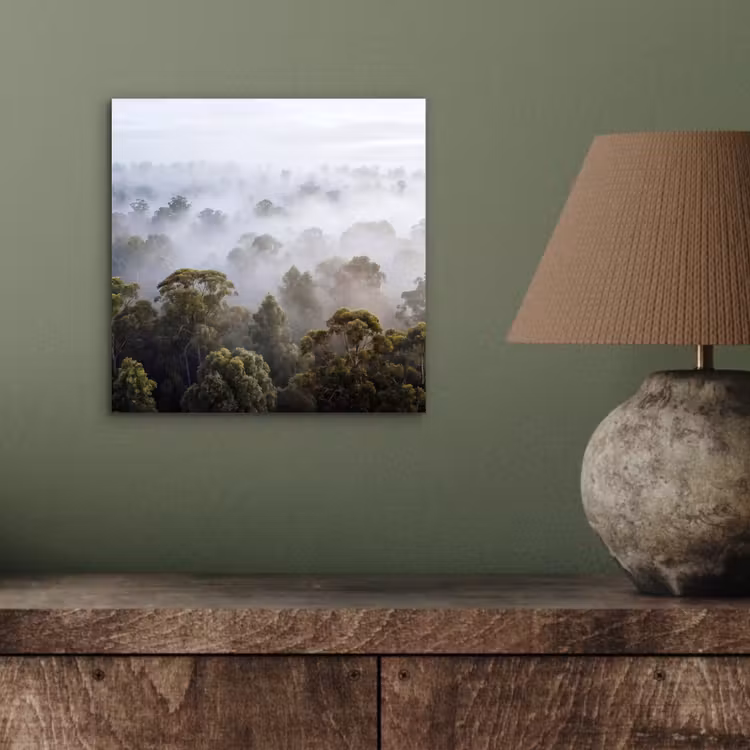 Aluminium schilderij - Natuur - Mist - Bos - Ochtend - Goud — 3