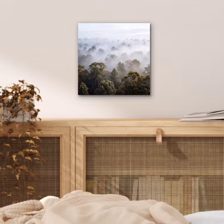 Aluminium schilderij - Natuur - Mist - Bos - Ochtend - Goud — 4