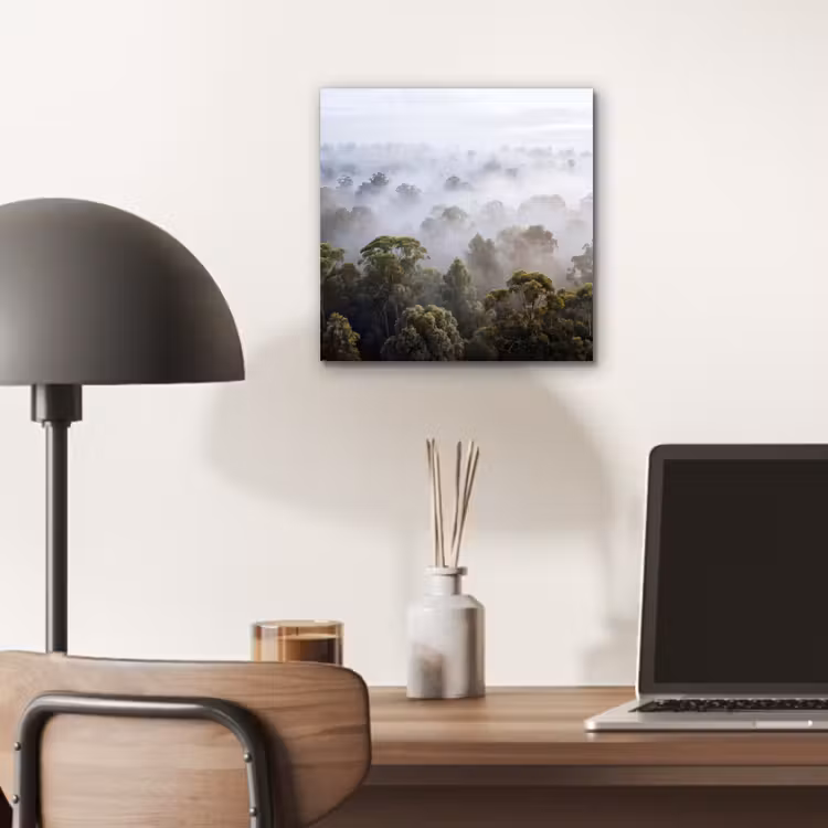 Aluminium schilderij - Natuur - Mist - Bos - Ochtend - Goud — 6
