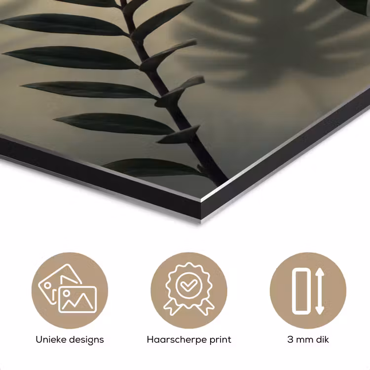 Aluminium schilderij - Planten - Bladeren - Schaduwen - Groen - Modern — 7
