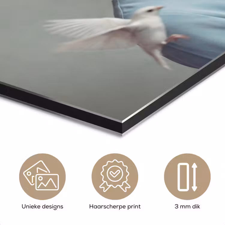 Aluminium schilderij - Vrouw - Vogels - Abstract - Modern - Wit — 7