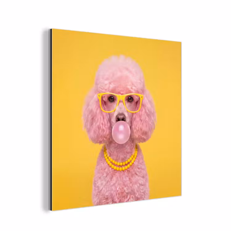 Aluminium schilderij - Hond - Kauwgum - Dieren - Modern - Roze — 1