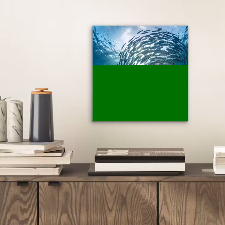 Aluminium schilderij - Vis - School - Oceaan - Natuur - Blauw — 2
