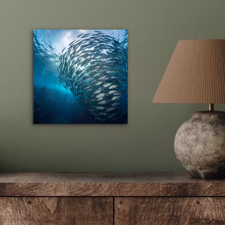 Aluminium schilderij - Vis - School - Oceaan - Natuur - Blauw — 3