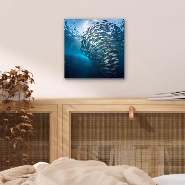 Aluminium schilderij - Vis - School - Oceaan - Natuur - Blauw — 4