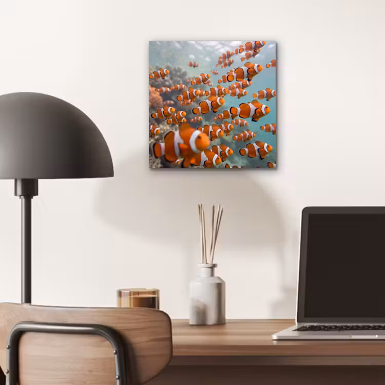 Aluminium schilderij - Vis - School - Onderwater - Dieren - Oranje — 6
