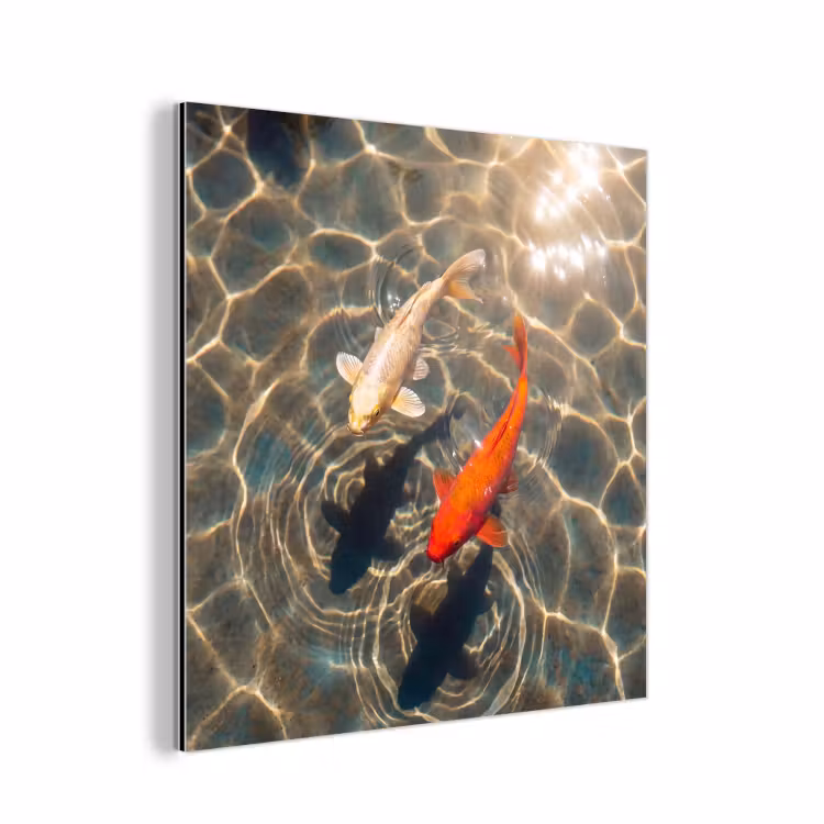 Aluminium schilderij - Vis - Water - Dieren - Oranje - Goud — 1