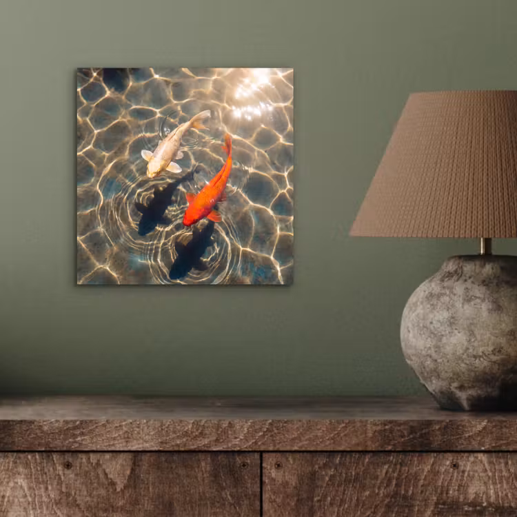 Aluminium schilderij - Vis - Water - Dieren - Oranje - Goud — 3