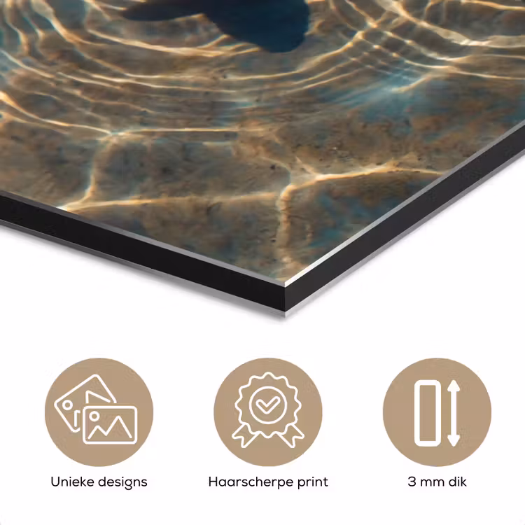 Aluminium schilderij - Vis - Water - Dieren - Oranje - Goud — 7