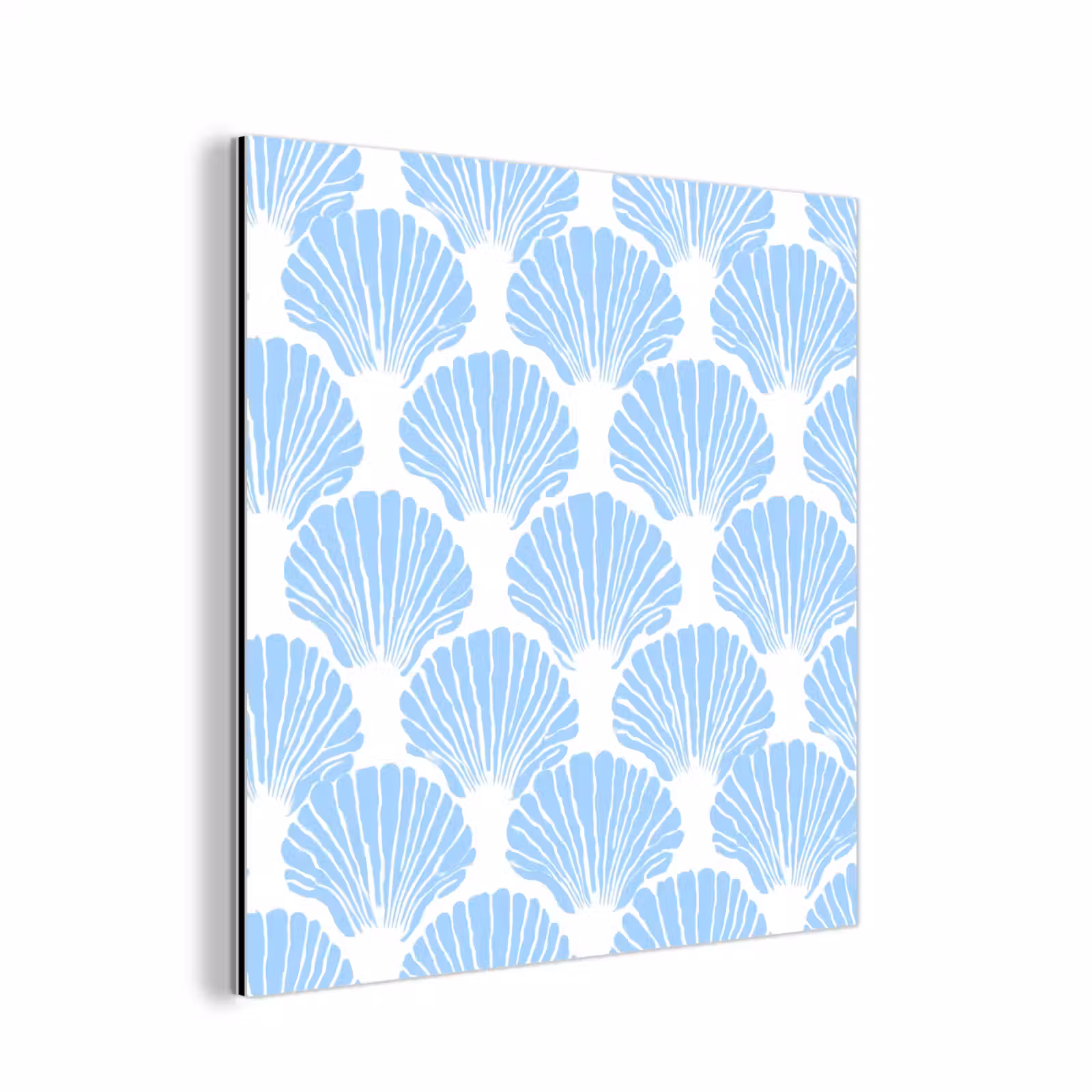 Aluminium schilderij - Blauw - Wit - Schelpen - Grafisch - Structuur — 1