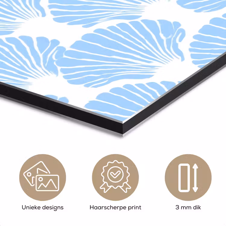 Aluminium schilderij - Blauw - Wit - Schelpen - Grafisch - Structuur — 7