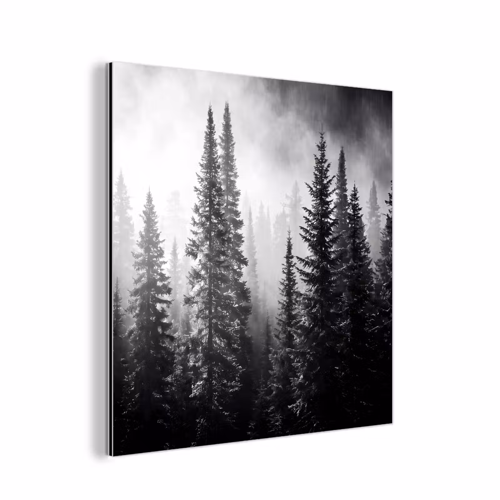 Aluminium schilderij - Bos - Mist - Winter - Monochroom - Natuur — 1
