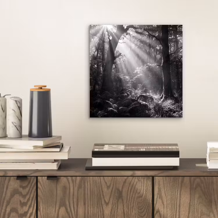 Aluminium schilderij - Bos - Lichtstralen - Natuur - Zwart-wit — 2