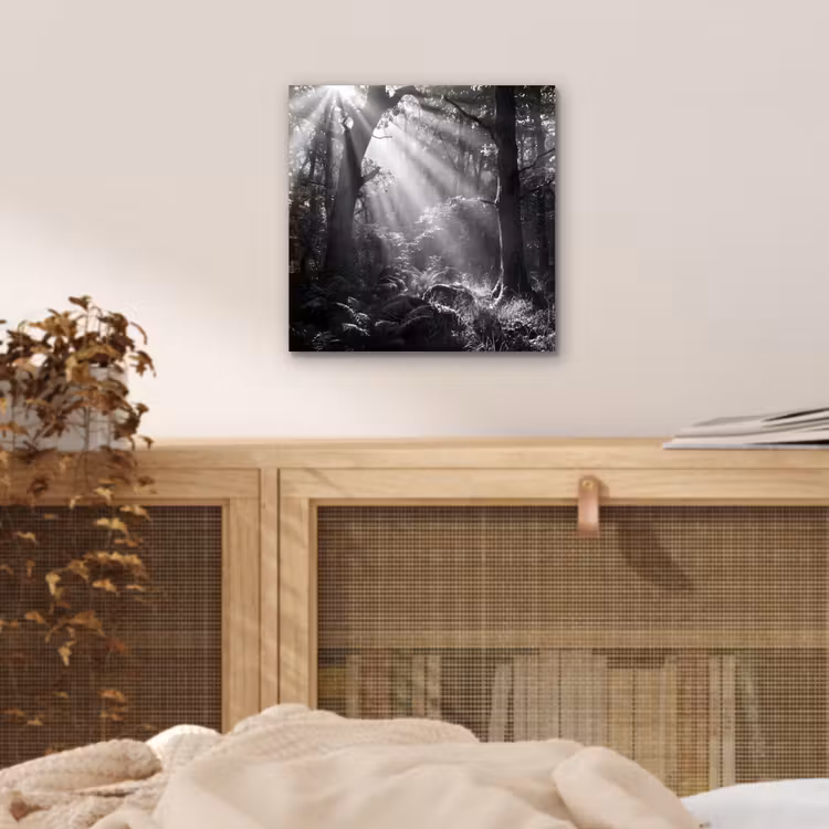 Aluminium schilderij - Bos - Lichtstralen - Natuur - Zwart-wit — 4