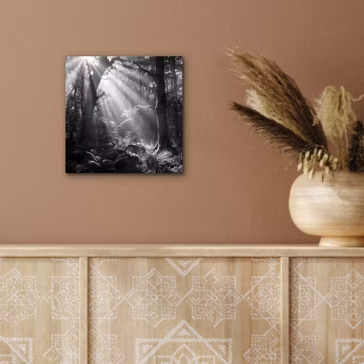 Aluminium schilderij - Bos - Lichtstralen - Natuur - Zwart-wit — 5