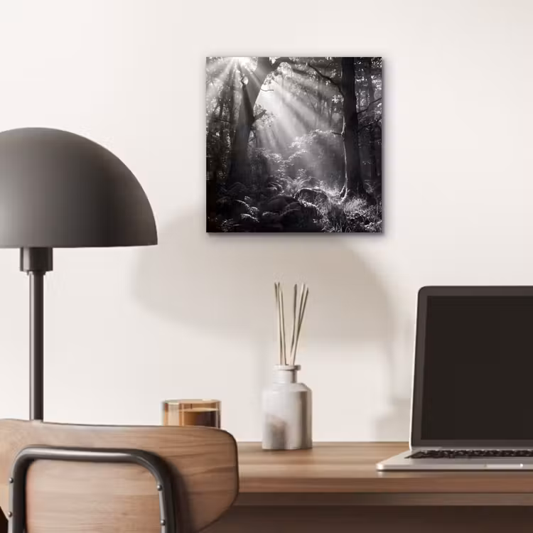 Aluminium schilderij - Bos - Lichtstralen - Natuur - Zwart-wit — 6