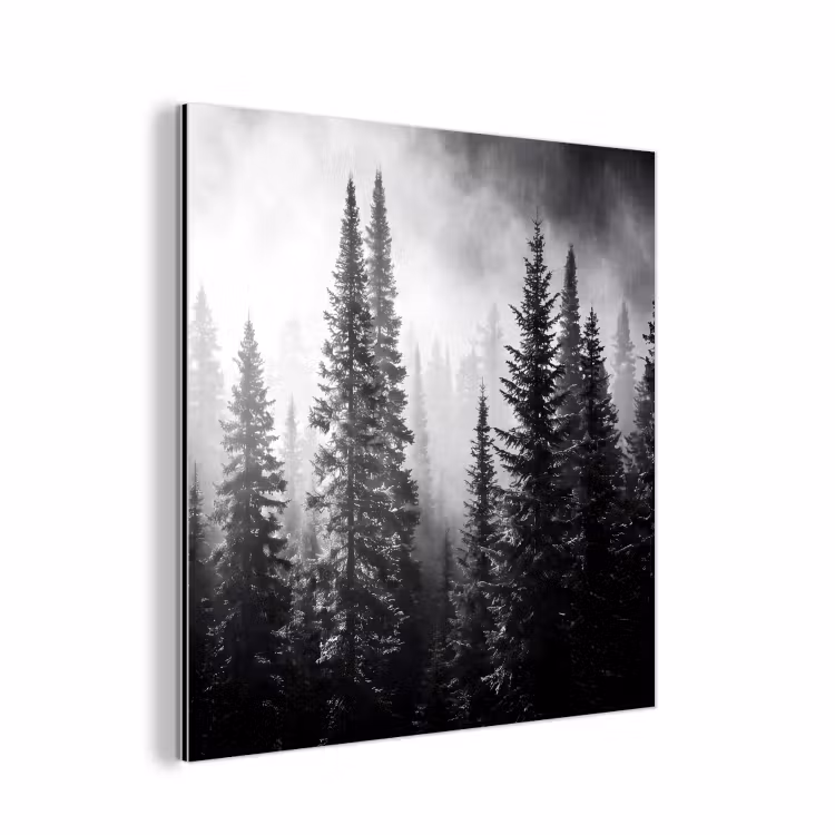 Aluminium schilderij - Bos - Mist - Winter - Monochroom - Natuur — 1