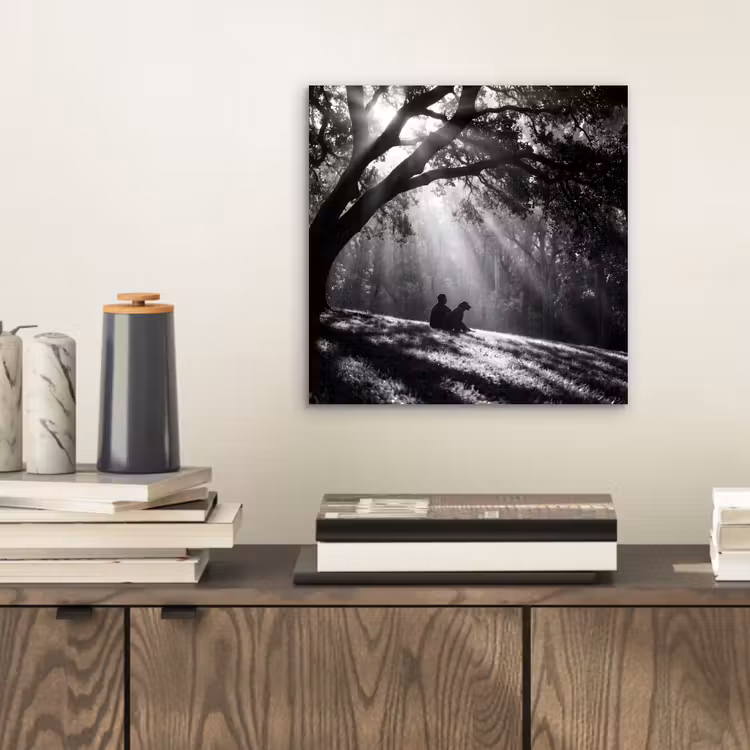 Aluminium schilderij - Mens - Hond - Natuur - Zwart-wit - Silhouet — 2