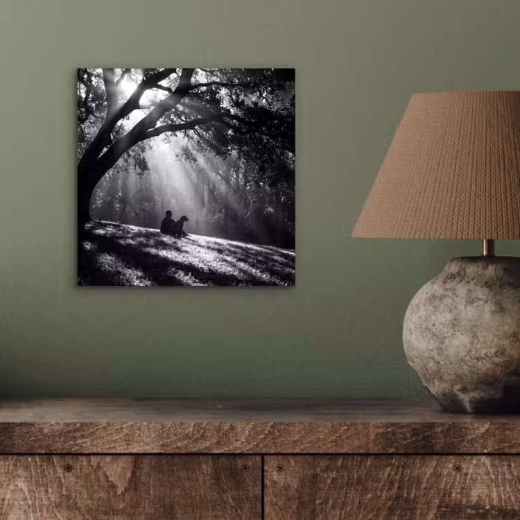 Aluminium schilderij - Mens - Hond - Natuur - Zwart-wit - Silhouet — 3