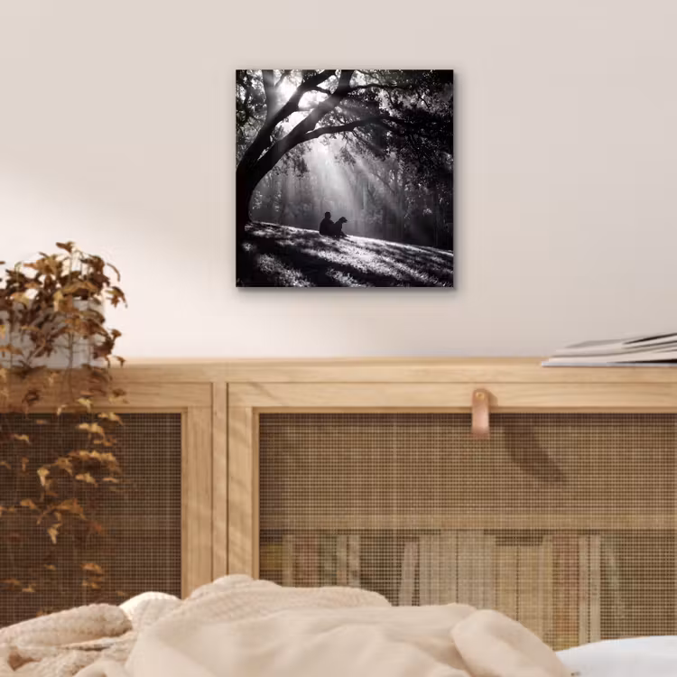 Aluminium schilderij - Mens - Hond - Natuur - Zwart-wit - Silhouet — 4