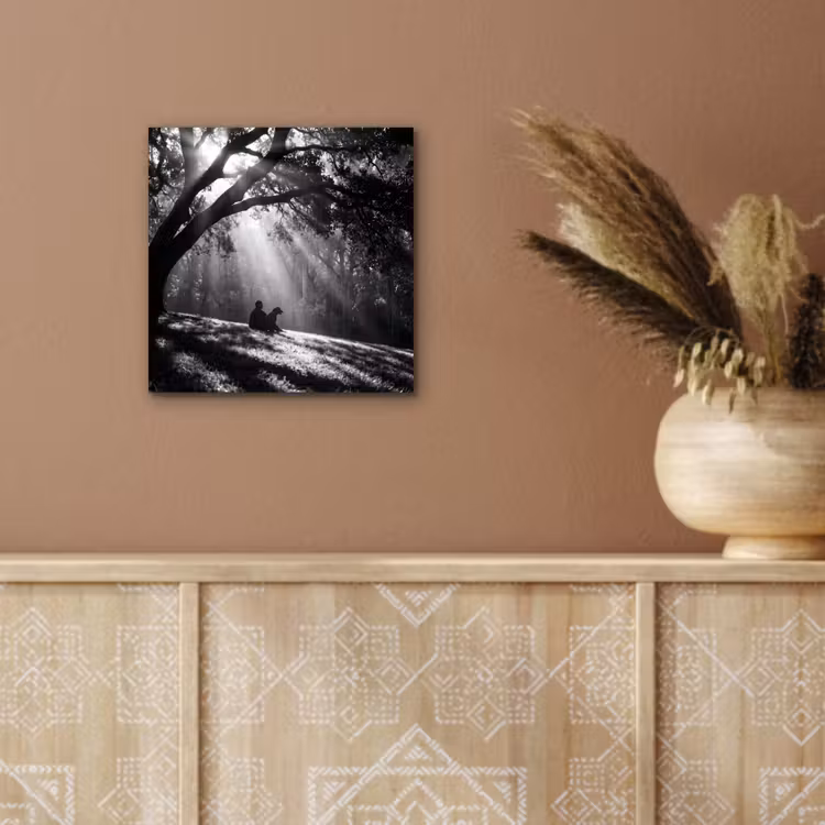 Aluminium schilderij - Mens - Hond - Natuur - Zwart-wit - Silhouet — 5